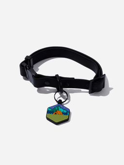 QALO Pet Essentials: All Silicone Dog Tags, Bowls, Collars & Leashes